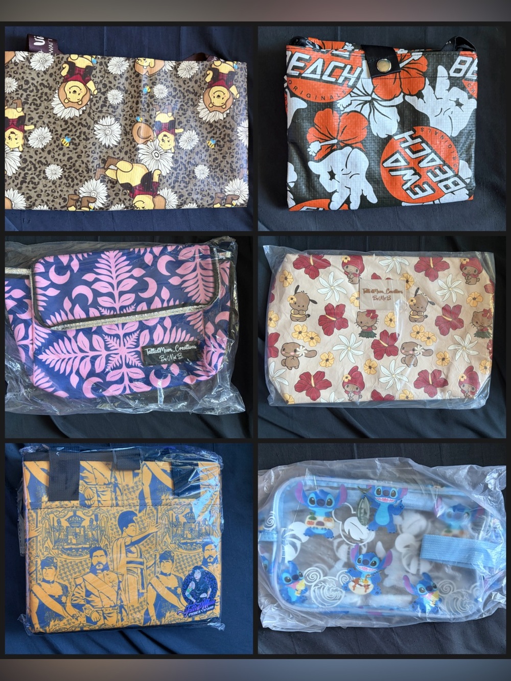 all six (6) bags for $100